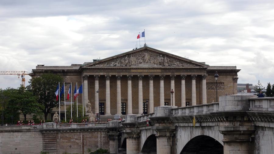 El Visionario de Francia contra la democracia